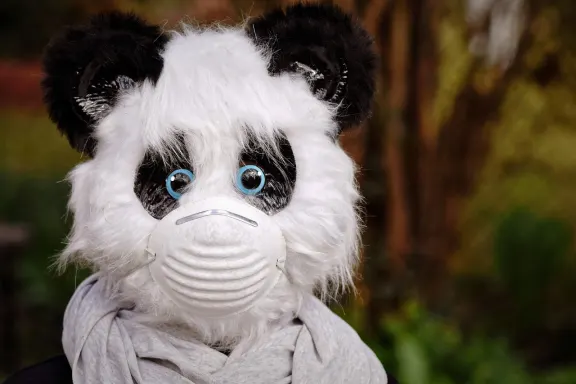 West Cazino Cazinou Suport